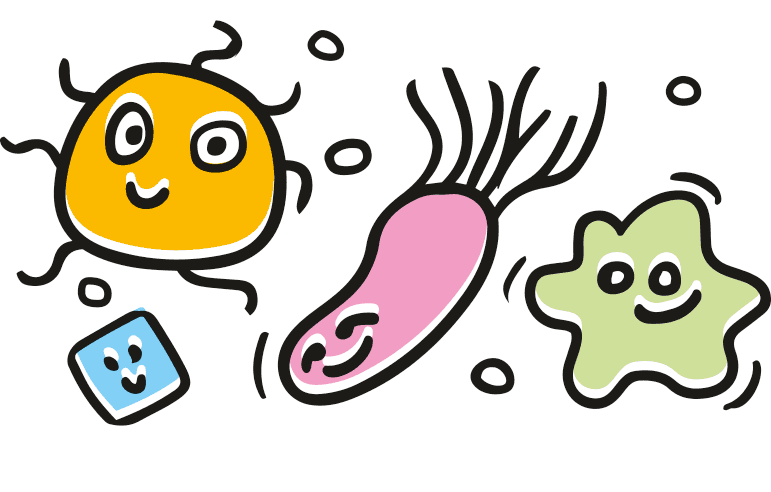 kolorowa, wesoła ilustracja, rysunek z obrysem, przedstawiający zdrowe bakterie obecne w napoju kombucha