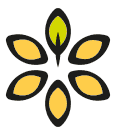 propozycja koncepcji projektu logo firmy spożywczej PureRein, symbol z połączenia listka drzewa i żółtych promieni słońca z obysem