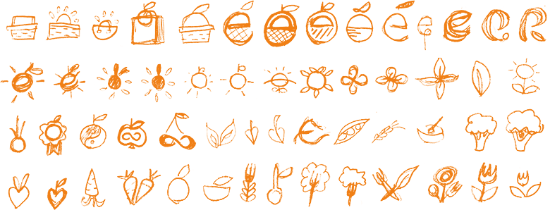 odręczne rysunki, szkice koncepcyjne do projektu logo firmy spożywczej zdrowej żywności PureRein, przedstawiają koszyki, słońce, liście, owoce i warzywa