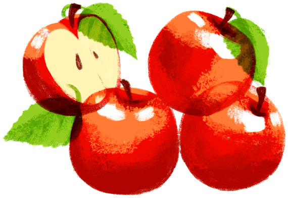 ilustracja grafika rysunek owoców jabłka na etykietę opakowania naturalnego soku