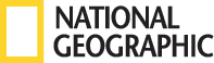 logo National Geographic, Chermayeff & Geismar